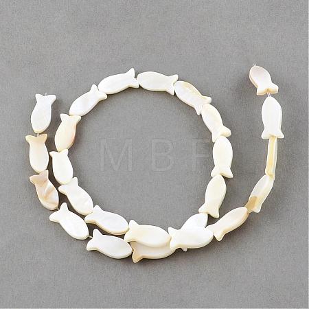 Natural Sea Shell Beads Strands SSHEL-Q296-39-1