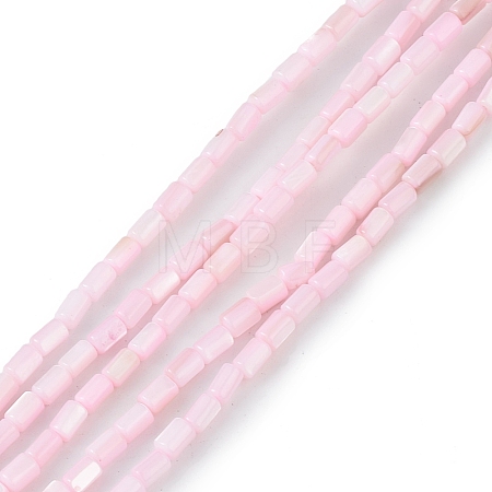 Natural Freshwater Shell Dyed Beads Strands SHEL-M018-12-09-1