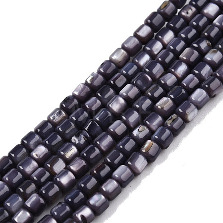 Natural Freshwater Shell Beads Strands SHEL-N003-33-A01-1