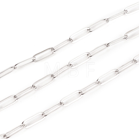 Tarnish Resistant 304 Stainless Steel Paperclip Chains STAS-K209-07P-1