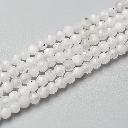 Natural Rainbow Moonstone Beads Strands X-G-O186-D02-01-1
