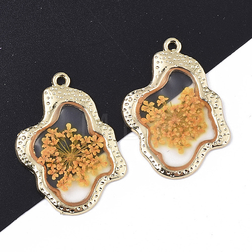 Epoxy Resin Pendants X-RESI-T045-028E-1