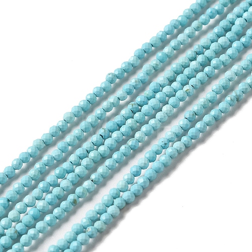 Natural Howlite Beads Strands G-C025-03A-01-1