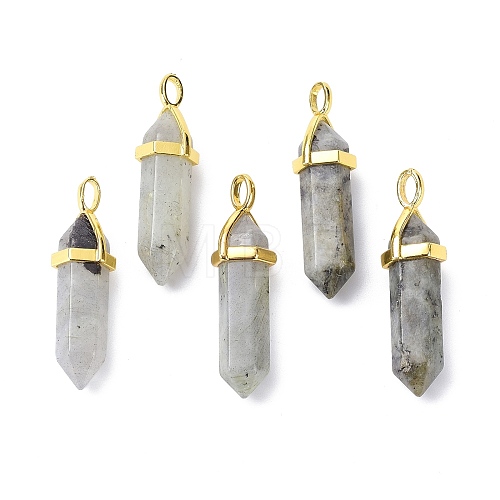 Natural Labradorite Pointed Pendants G-G025-01G-38-1