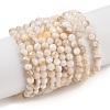 Natural Freshwater Shell Beads Strands X-SHEL-T011-02-3mm-1