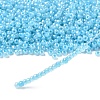 Glass Seed Beads SEED-A011-3mm-143-2