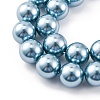 Shell Pearl Beads Strands BSHE-K015-10mm-02-3