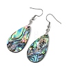 Teardrop Natural Paua Shell Dangle Earrings for Women EJEW-JE07135-4