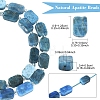 1 Strand Natural Apatite Beads Strands G-YW0002-96-3