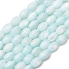 Dyed Natural Freshwater Shell Beads Strands SH-CBA2978-06C-1