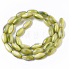 Natural Freshwater Shell Beads SHEL-R047-02F-2