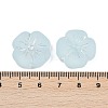 Frosted Transparent Acrylic Beads OACR-P029-19B-06-4