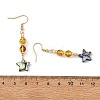 Natural Amber & Abalone Shell/Paua Shell Beads Dangle Earrings EJEW-JE07315-02-5