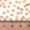 Picasso Glass Seed Beads GL-N001-01B-09-4