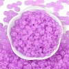 Transparent Colours Glass Seed Beads SEED-P008-01B-04-3