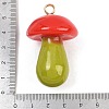 Opaque Resin Big Pendants FIND-E053-02A-G-3