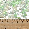 Glass Seed Beads SEED-K009-02B-20-4