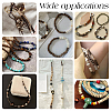 12 Strands 4 Colors Coconut Wood Bead Strands WOOD-PH0003-98-5