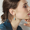 12 Pairs 12 Colors Glass Teardrop Leverback Earrings EJEW-AB00002-4