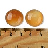 Natural Carnelian Cabochons G-L601-02A-01-3