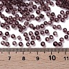 Glass Seed Beads SEED-A004-3mm-16-3
