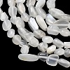 Natural White Moonstone Beads Strands G-P601-A18-02-4