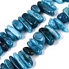 Dyed Natural Quartz Beads Strands G-Q606-24A-02-1