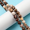 Natural Zebra Jasper Beads Strands G-C079-B01-01-2