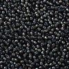 TOHO Round Seed Beads SEED-JPTR11-0383-2