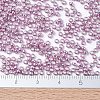 MIYUKI Round Rocailles Beads X-SEED-G007-RR1061-4