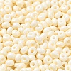 Baking Paint Glass Seed Beads X1-SEED-B001-02A-06-3