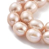 Natural Cultured Freshwater Pearl Beads Strands PEAR-P062-13D-4