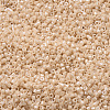 MIYUKI Delica Beads SEED-MY11-DB0205-3