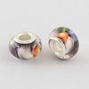 Large Hole Resin European Beads OPDL-R114-17B-2