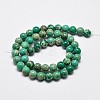 Natural Imperial Jasper Beads Strands G-I122-10mm-05-3