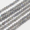 Natural Labradorite Round Bead Strands LS-G-M263-A-03-1