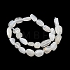 Natural White Moonstone Beads Strands G-P601-A18-02-3