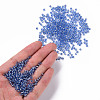 8/0 Glass Seed Beads SEED-US0003-3mm-26-4