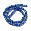 Handmade Lampwork Beads Strands LAMP-K041-01A-21-3