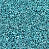 MIYUKI Delica Beads SEED-X0054-DB0427-3
