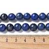 Natural Lapis Lazuli Beads Strands G-P348-01-8mm-2