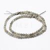 Natural Labradorite Beads Strands G-P322-30-4mm-2