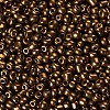 6/0 Glass Seed Beads SEED-A009-4mm-601-2