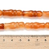 Natural Agate Beads Strands G-Z144-A02-01F-5