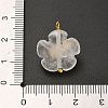 Natural Quartz Crystal Pendants G-C290-02B-3