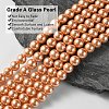 Eco-Friendly Dyed  Glass Pearl Round Beads Strands HY-A002-8mm-RB057-2