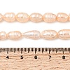 Natural Cultured Freshwater Pearl Beads Strands PEAR-F020-05A-5