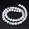 Round Natural Howlite Bead Strands X1-G-F222-14-6mm-3