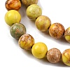 Dyed Natural Regalite/Imperial Jasper/Sea Sediment Jasper Beads Strands G-B124-C02-04-4