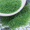 MIYUKI Round Rocailles Beads SEED-X0054-RR0259-1
